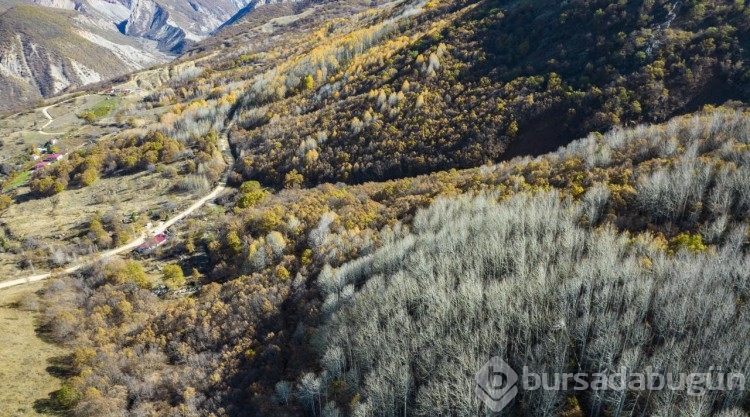 Güz renklerine bürünen Salördek ormanları turizme katkı sağlıyor
