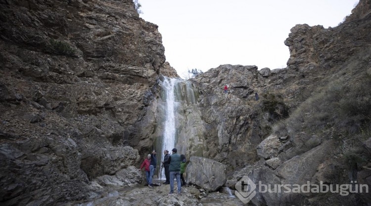 Güz renklerine bürünen Salördek ormanları turizme katkı sağlıyor
