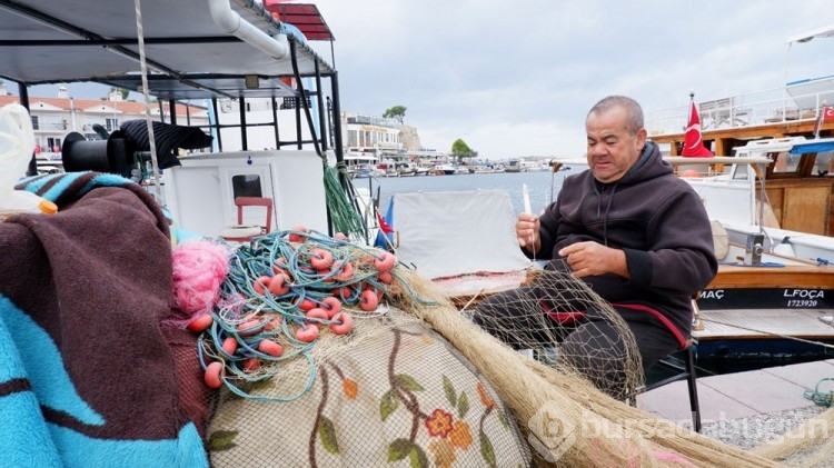 Foça kıyıları denizanası kaplandı
