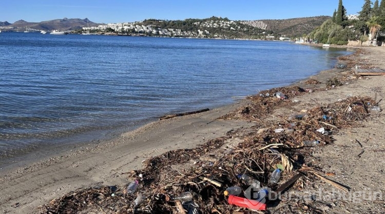 Bodrum'da sağanak sonrası sahillerde kirlilik
