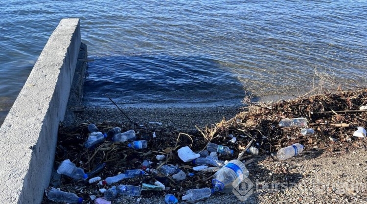 Bodrum'da sağanak sonrası sahillerde kirlilik
