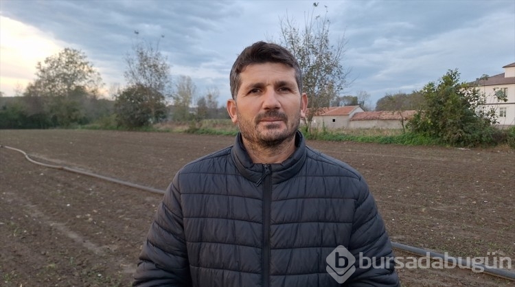 Kışlık sebze hasadı devam ediyor
