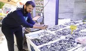 Hamsinin fiyatı düştü