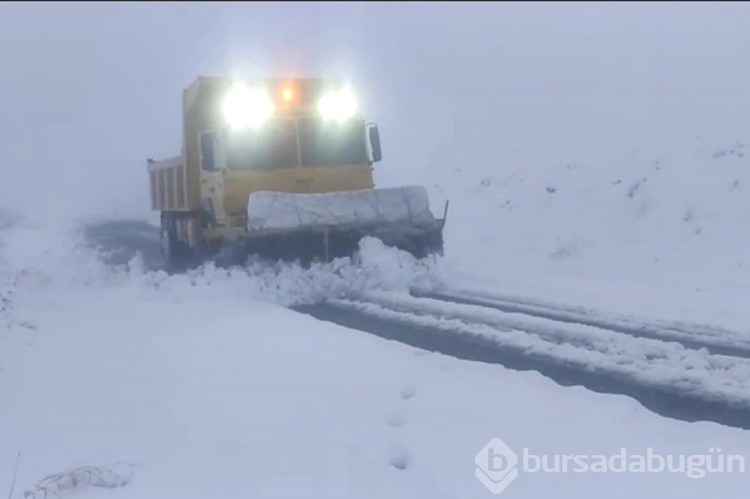Doğu'da kar esareti: Kar yağışı birçok ilde etkili oluyor
