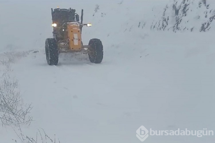 Doğu'da kar esareti: Kar yağışı birçok ilde etkili oluyor
