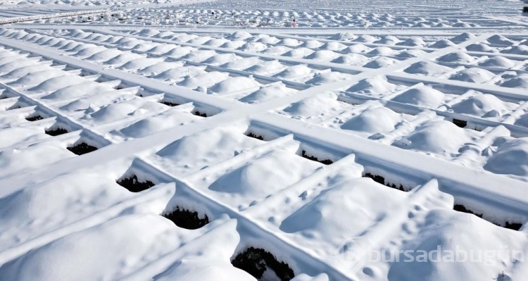 Erzurum'da kış hazırlığı: 1000 adet mezar kazıldı
