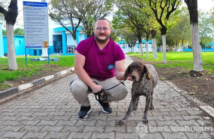 Manisa'da kırılan bacağına platin takılan köpek, yeni yuvasını arıyor