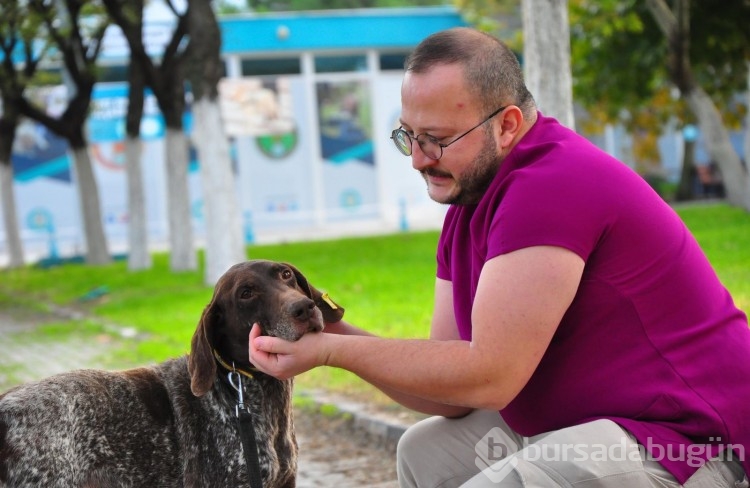 Manisa'da kırılan bacağına platin takılan köpek, yeni yuvasını arıyor