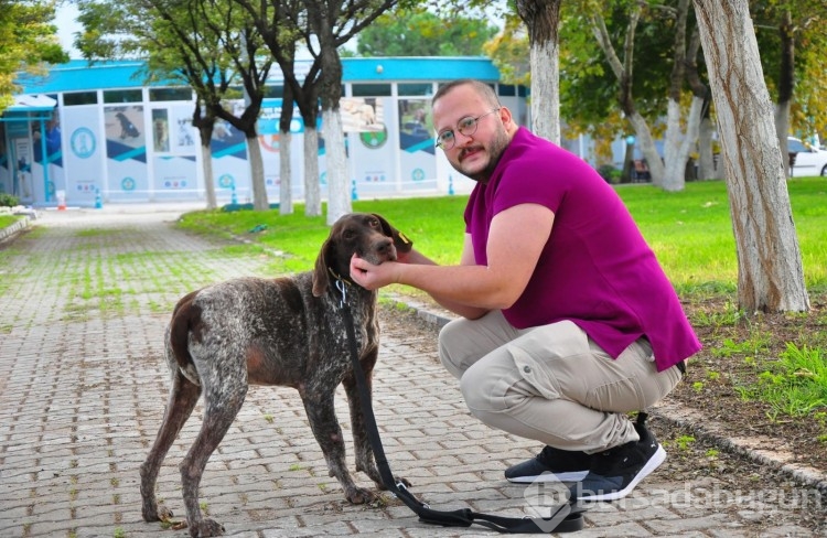 Manisa'da kırılan bacağına platin takılan köpek, yeni yuvasını arıyor