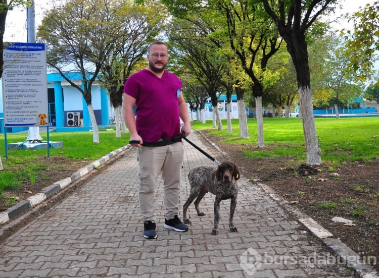 Manisa'da kırılan bacağına platin takılan köpek, yeni yuvasını arıyor