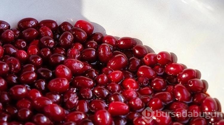 Günde 1 kez tüketin ve hastalığınızı geciktirin!