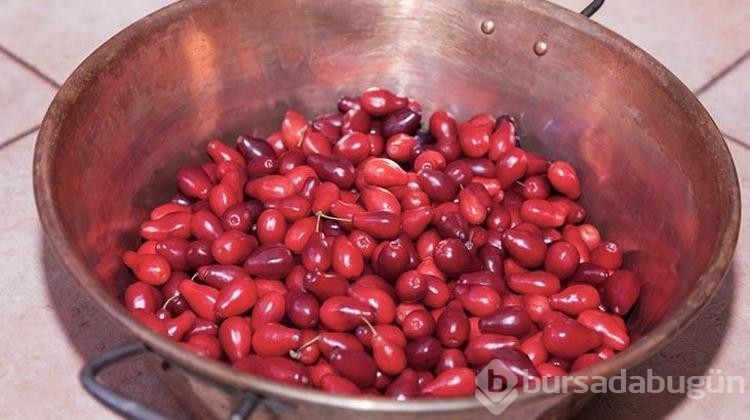 Günde 1 kez tüketin ve hastalığınızı geciktirin!