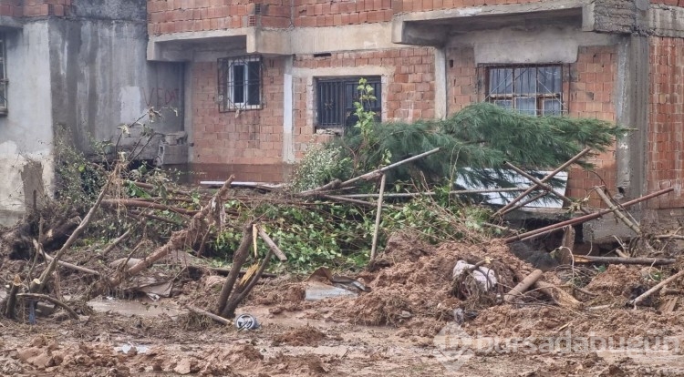 Son dönemde ciddi artış var: Uzmandan afet uyarısı!