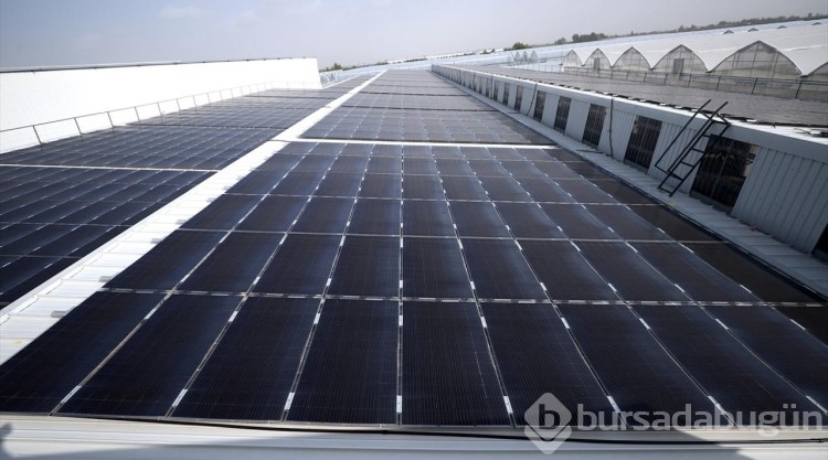 Fide üretilen tesise kurulan GES, enerji giderini yüzde 60 azalttı
