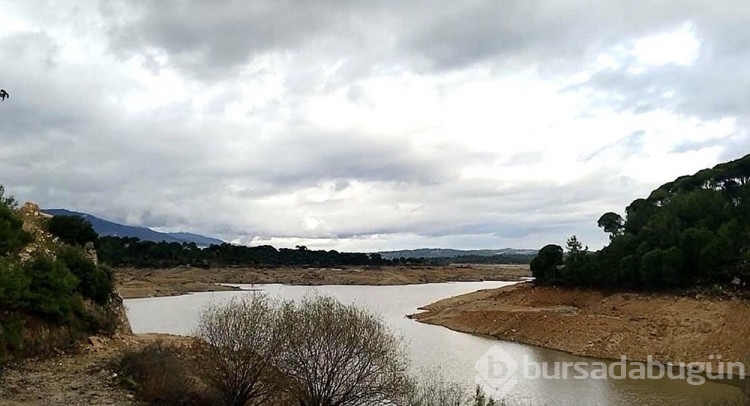 Bodrum'da dibi gören barajlardan sevindiren haber
