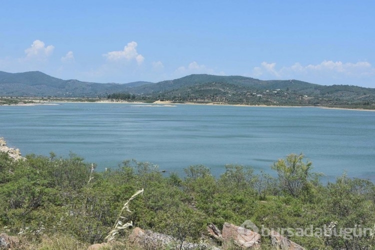 Bodrum'da dibi gören barajlardan sevindiren haber
