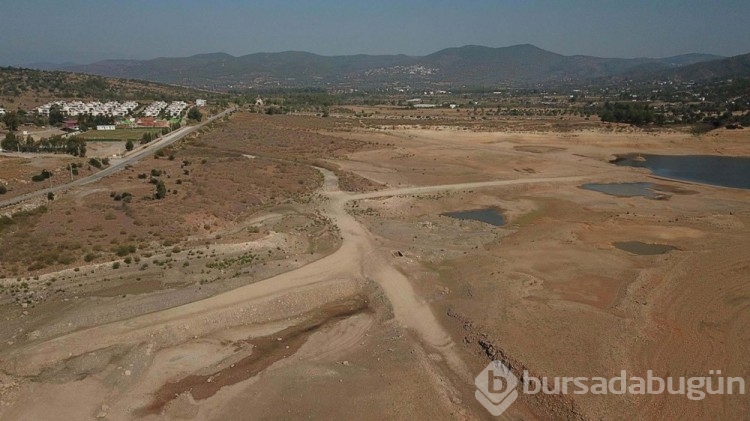 Bodrum'da dibi gören barajlardan sevindiren haber
