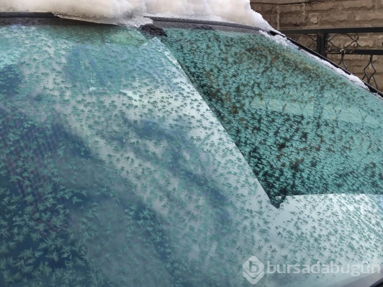 Sıcaklık eksi 18,4 derece düştü kent buz tuttu! 