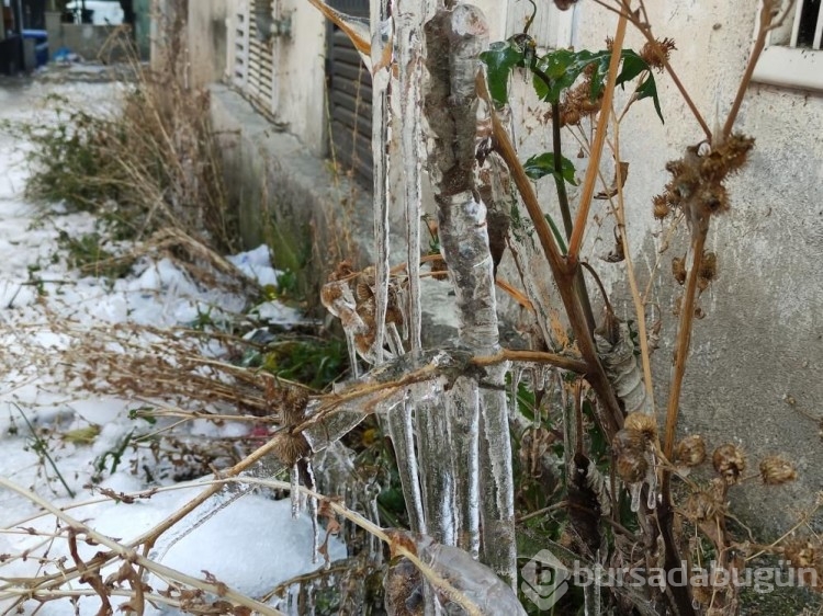 Sıcaklık eksi 18,4 derece düştü kent buz tuttu! 