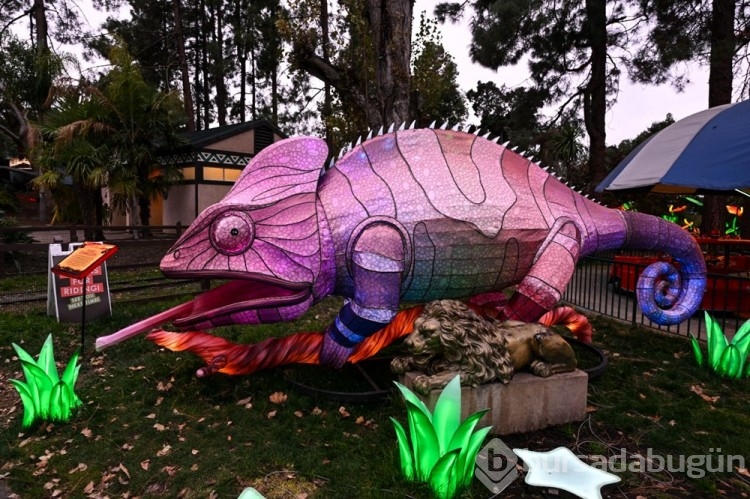 Oakland Hayvanat Bahçesi'nde Glowfari Işık Festivali
