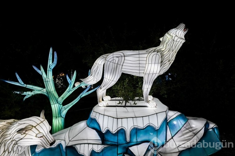 Oakland Hayvanat Bahçesi'nde Glowfari Işık Festivali
