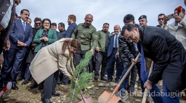 Türkiye'nin "Geleceğe Nefes Projesi" kapsamında Erbil'de 12 bin fidan dikildi
