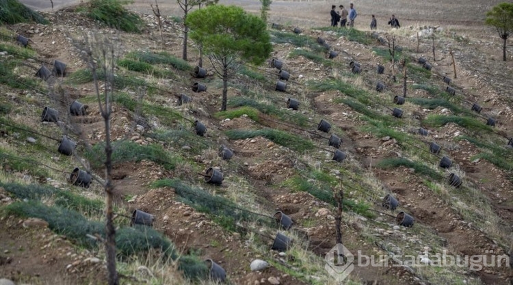 Türkiye'nin "Geleceğe Nefes Projesi" kapsamında Erbil'de 12 bin fidan dikildi
