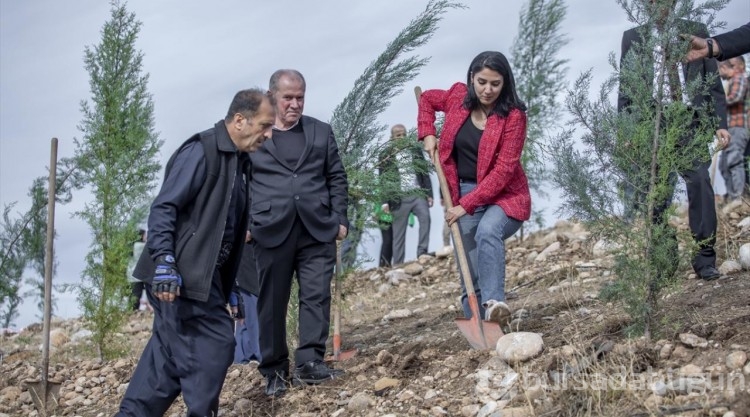 Türkiye'nin "Geleceğe Nefes Projesi" kapsamında Erbil'de 12 bin fidan dikildi
