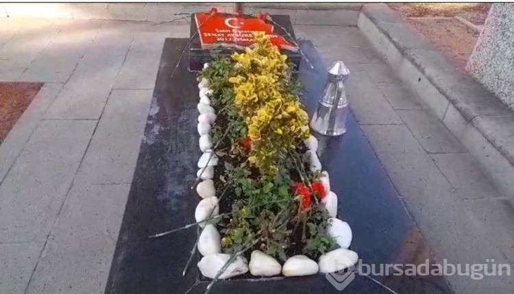 PKK'lı teröristlerin şehit ettiği Aybüke öğretmenin mezarı başında anma

