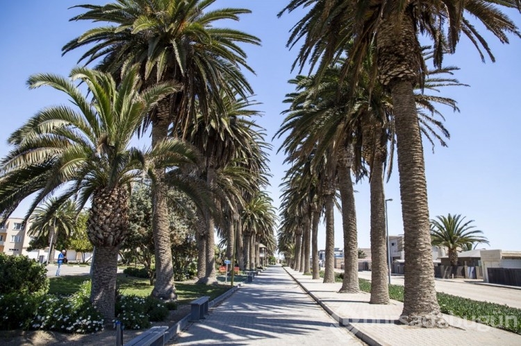 Çöl ile okyanusun buluştuğu şehir: Swakopmund
