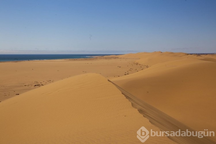 Çöl ile okyanusun buluştuğu şehir: Swakopmund
