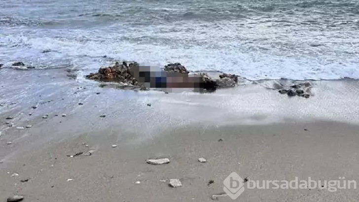 Bodrum'da biri sahilde diğeri denizde 2 erkek cesedi bulundu