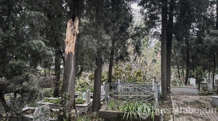 Bursa'da kuvvetli lodosta devrilen ağaçlar mezarlara zarar verdi
