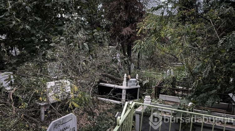 Bursa'da kuvvetli lodosta devrilen ağaçlar mezarlara zarar verdi
