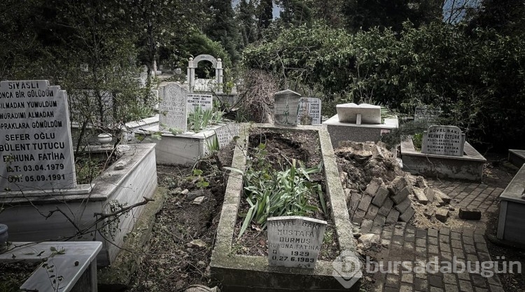 Bursa'da kuvvetli lodosta devrilen ağaçlar mezarlara zarar verdi
