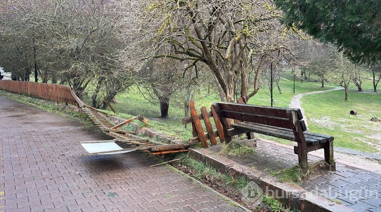 Kuvvetli rüzgar Gölcük Tabiat Parkı'nda ağaçları devirdi
