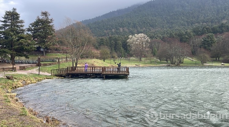 Kuvvetli rüzgar Gölcük Tabiat Parkı'nda ağaçları devirdi

