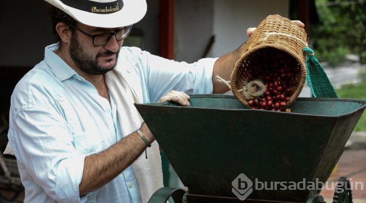 Kolombiya'da kahve turizmi
