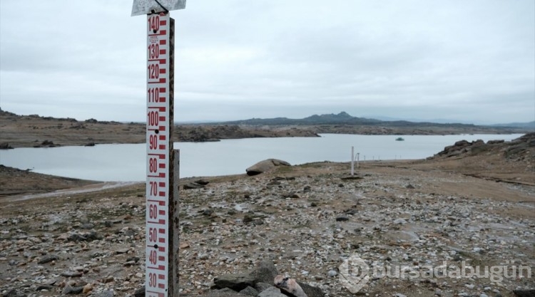 Trakya'da son yağışlar barajların doluluk oranını arttırdı
