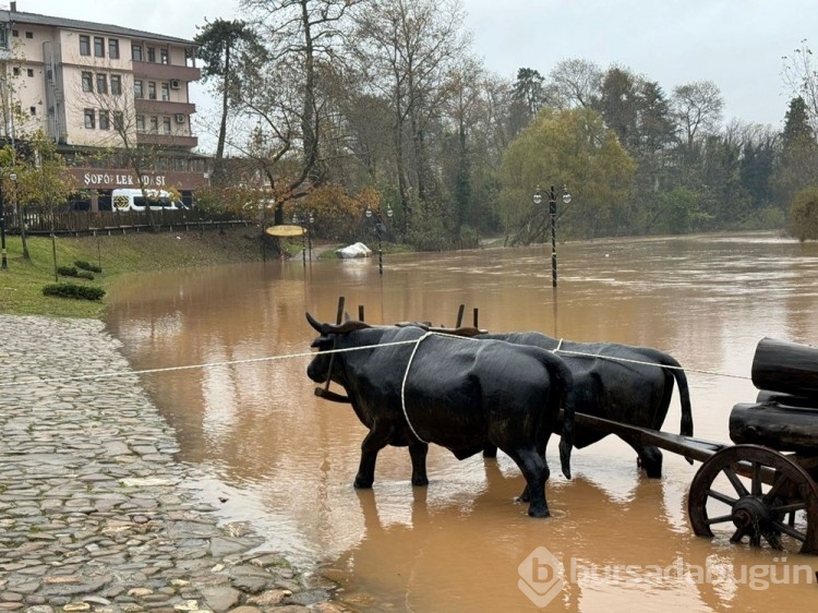 Bartın Irmağı'nda su seviyesi 4 metre yükseldi
