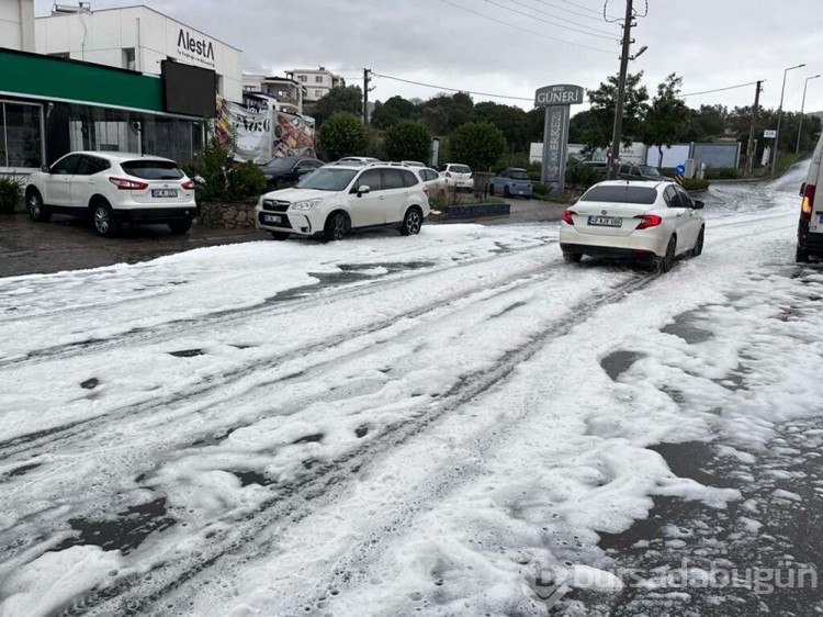 Bodrum'daki merak uyandıran köpüğün nedeni belli oldu
