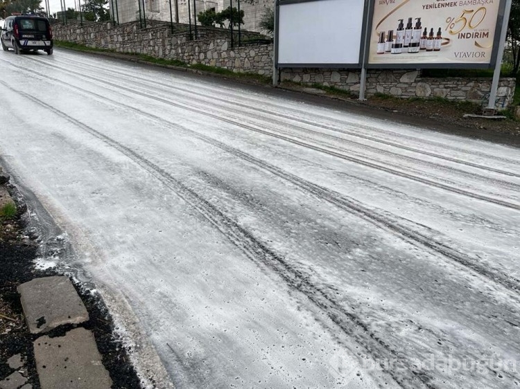 Bodrum'daki merak uyandıran köpüğün nedeni belli oldu
