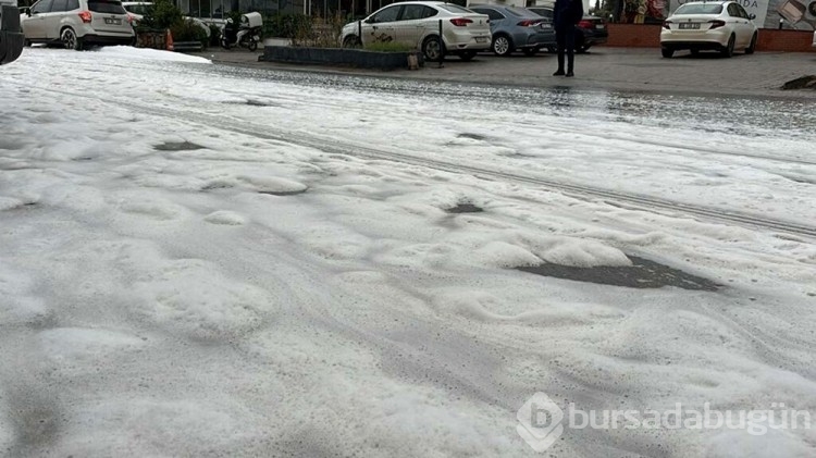 Bodrum'daki merak uyandıran köpüğün nedeni belli oldu
