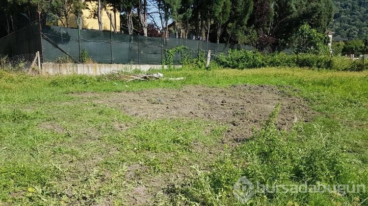 İranlı emlakçı çifti öldüren sanığa 50 yıl hapis
