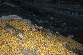 Adana'da tonlarca limon dere yatağına döküldü