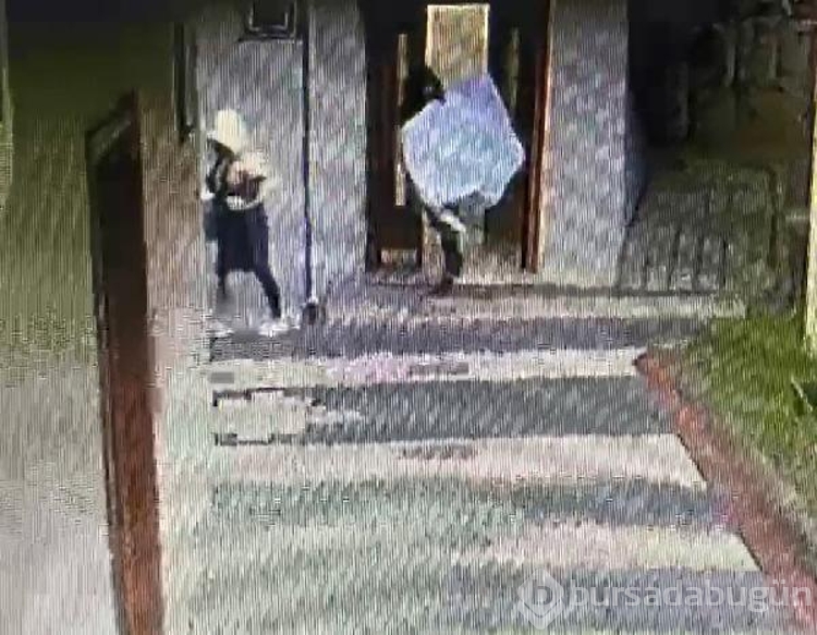 İstanbul'da 24 eve giren çakar lambalı hırsızlar yakalandı
