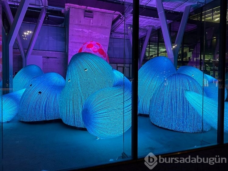 Hollanda'da Işık Sanatı Festivali başladı
