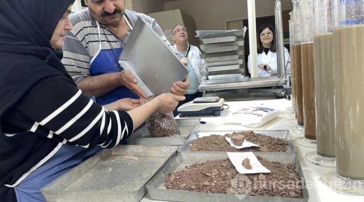 Antalya'daki ormanlar için uygun ağaçlar belirleniyor
