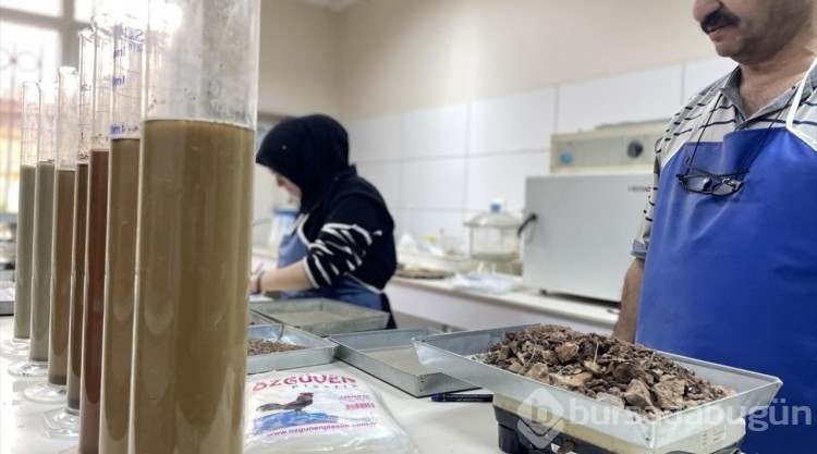 Antalya'daki ormanlar için uygun ağaçlar belirleniyor
