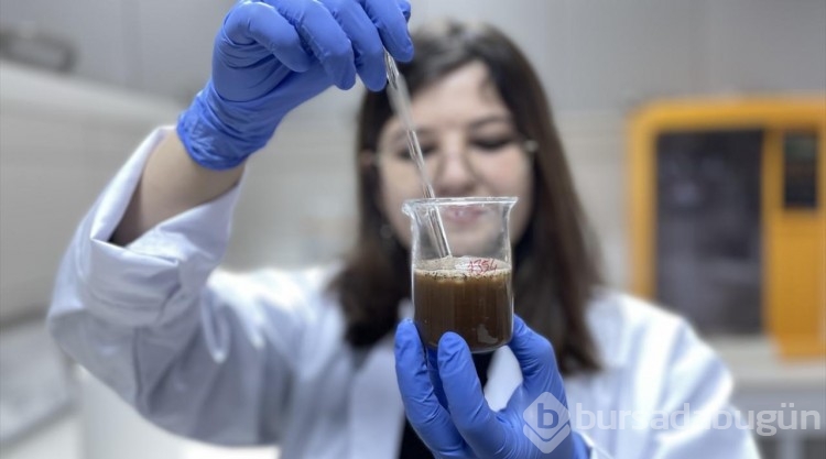 Antalya'daki ormanlar için uygun ağaçlar belirleniyor
